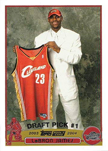 Lebron 221 Clearance