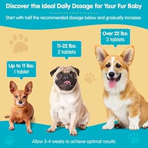   Wanderfound-Pets-Same-100-Liver-Support-for-Dogs-Same-S-Adenosyl-L-Methionine-Hepatic-Supplement-for-Liver-Brain-Support-Bacon-Flavored-Sam-E-Manufactured-in-The-USA-30-Chewable-Tablets