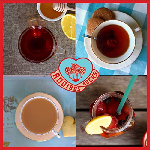 image for Rooibos Rocks Rooibos Tea Immune Support Variety Tin - 40 USDA Organic