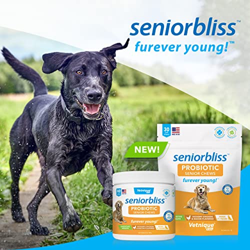 Seniorbliss Aging Dog (7+) Senior Dog Vitamins And Supplements, Supports Heart, Allergy, Arthritis, Skin And Coat - Furever Young (Probiotic Chew, 60Ct) #TOP6