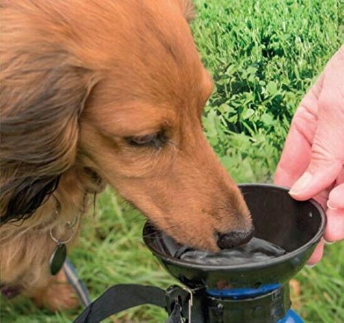 aqua pet Dog Water Bottle - Bottle with Travel Bowl for Dogs - Bowl  Notebook - Bottle Travel : Amazon.com.au: Pet Supplies