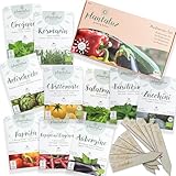 Plantaluz growing future