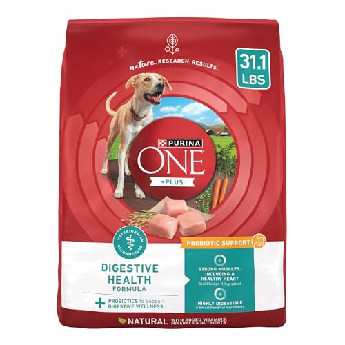 Purina One Plus Digestive Health Formula Dry Dog Food Natural with Added Vitamins, Minerals and Nutrients – 31.1 Lb. Bag