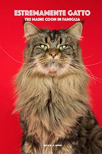 Estremamente gatto - Tre Maine Coon in famig