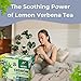 Lemon Verbena 25 Teabags of Cedron Herbal Tea All Natural Lemon Beebrush from Peru Used to Add Lemon Flavor in Cooking Perfumes Essential Oil