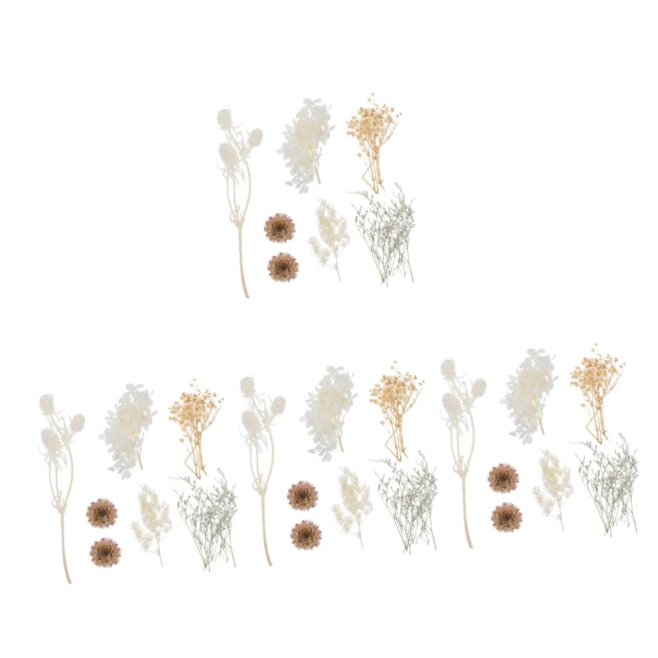 STOBAZA 4sätze Getrocknete Blumen Für -projekte Gepresste Blumen Für Resin Kerzen Und Kreative Bastelideen Für Kunsthandwerk Und Dekoration