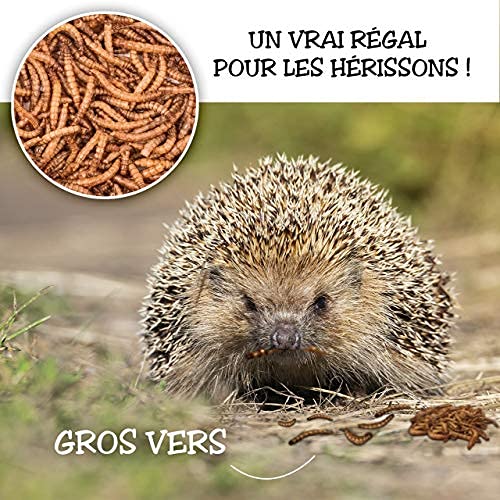 Detox Organica-vers de Farine Séchés - 1kg Correspond à 6500ml, Friandises pour Oiseaux, Poissons, Tortues, Hérissons, Rongeurs et Reptiles – Image 4