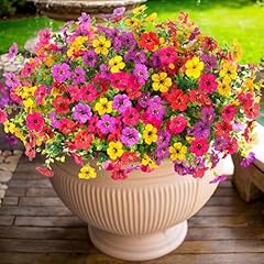 Purple,red,yellow,hot Pink