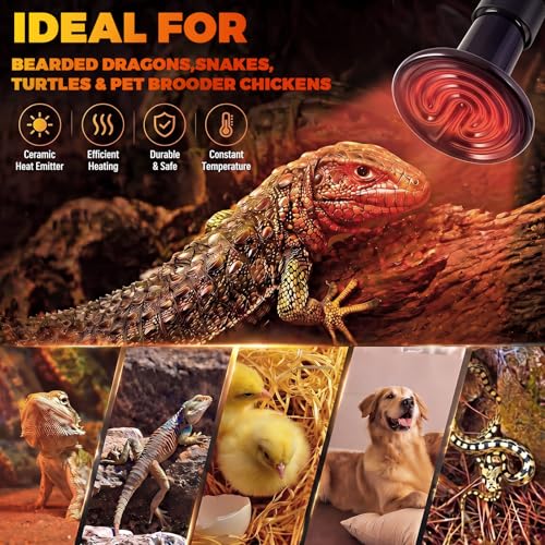 Image of 4 Pack 150W Ceramic Heat Emitter, No Light Reptile Heat Lamp Bulb for Bearded Dragon Tank, Chicken Brooder and Coop, E26 Ceramic Heater Bulb for Large Terrarium