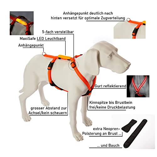 Feltmann Hundegeschirr Mantrailing/Suchgeschirr Profi -Super Soft, Neonorange, reflektierend, Bauchumfang 60-80 cm, 25 mm Bandbreite