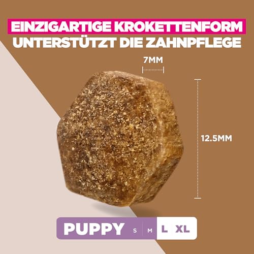Eukanuba Welpenfutter getreidefrei mit Fisch für große Rassen, Premium Trockenfutter ohne Getreide für Junior Hunde, 12 kg