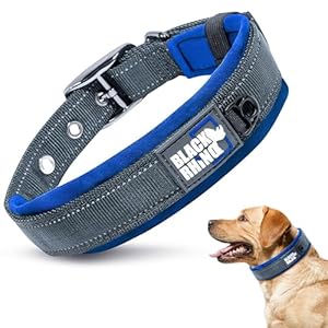 Black Rhino Reflective Dog Collar – Heavy Duty Adjustable Comfort Collar with Ultra Soft Neoprene Padding for All Breeds – Weatherproof, Lightweight Dog Collars for Large Dogs (Large, Blue/Grey)