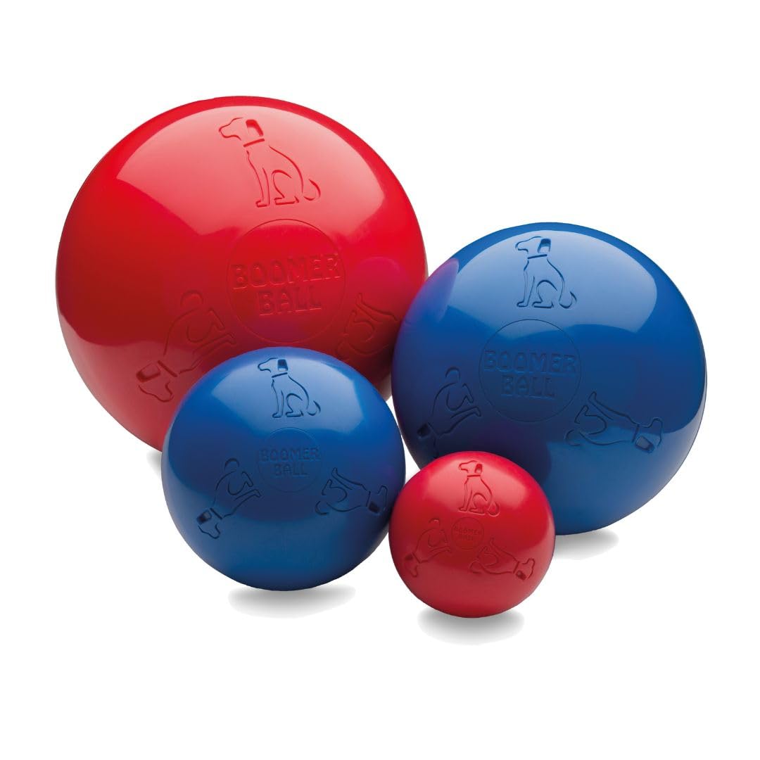 BOOMER BALL - Pelota para perros prácticamente indestructible. Pelota fuerte y duradera que flota en el agua para perros. Balón de fútbol para perros medianos de alta energía (Talla 200 mm)