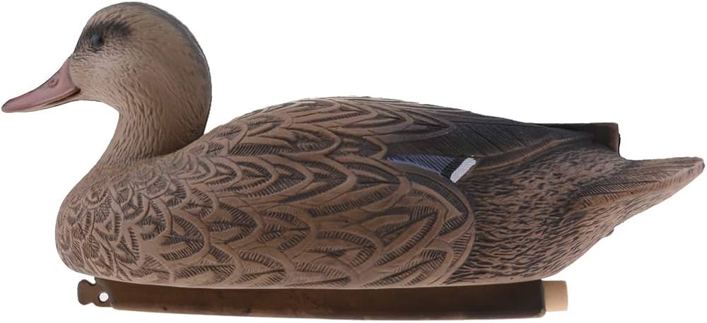 デコイ鴨 鴨のデコイ
