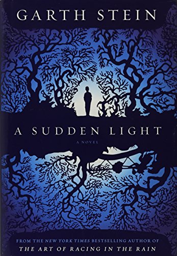 [ A Sudden Light BY Stein, Garth ( Author ) ] {... B00V1D8HVE Book Cover