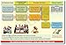American Government: A Bill Becomes Law - Classroom Poster