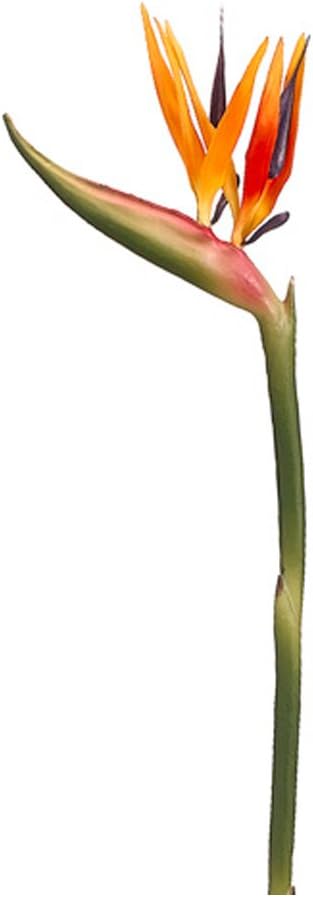 37" Bird of Paradise Spray x2 Orange Yellow (Pack of 6)