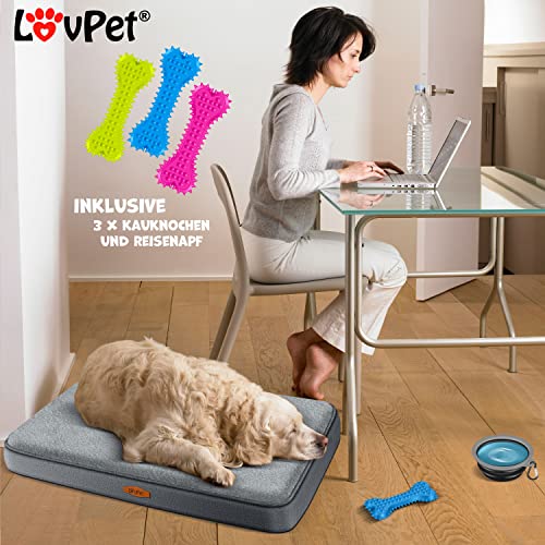 Lovpet® Hundebett orthopädisches Hundekissen Hundekorb Cookie, Inkl. Napf + 3X Kauknochen, Hundesofa für Kleine, Mittelgroße & Große Hunde, Bezug abnehmbar und waschbar, M 76x51x7,6 cm Anthrazit