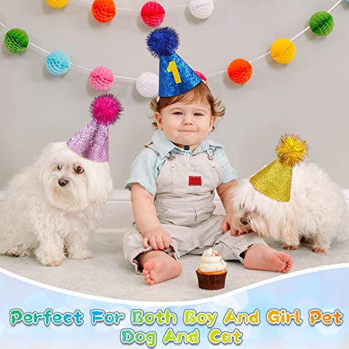 25 Pack Dog Birthday Hat 5 Colors Small Cat Birthday Hat Mini Dog Party Hats With Figures 0-9 Charms 25 Buckles Accessories Pet Party Hat For Puppy Cat Pet Decorations #TOP4