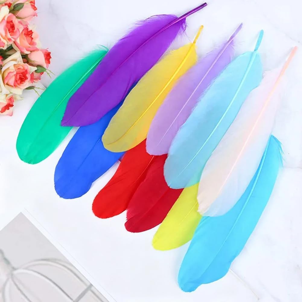 10pcs Natural Goose Feather 6-8 Inch(15-20cm) Bulk DIY Crafts Feathers for Cosplay, Gothic Costumes, Halloween Party Decoration, Dream Catcher Supplies