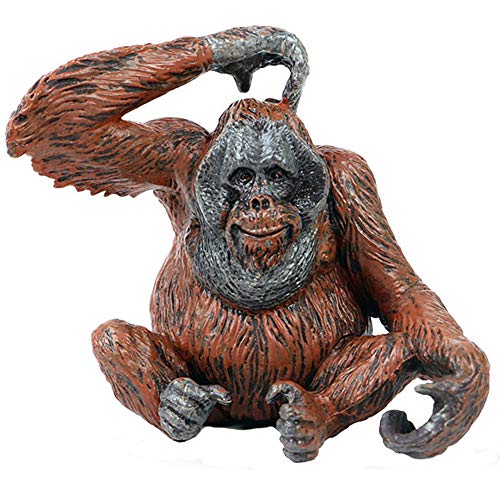 FLORMOON IE[^ u I IE[^̂ ̎p ̋ߋ ȊwvWFNg NX}X av[g q̂߂