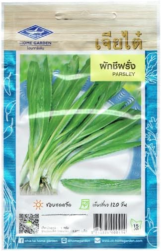 オオバコエンドロ ノコギリコリアンダーの種 激安商品 パクチーファラン