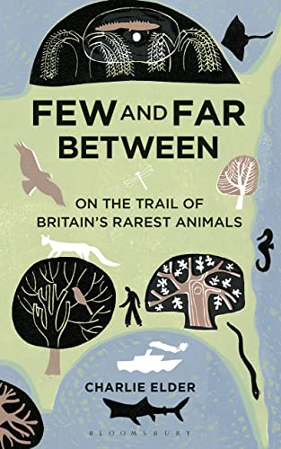 Few And Far Between view 2