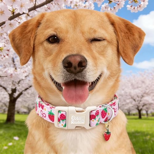 Image of Dog Collars, Spring Red Strawberry Print Pet Collar Holiday Cute Durable Adjustable Pendant Gift Collar with Quick Release Plastic Buckle for Medium Dogs