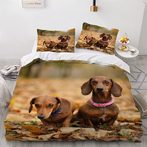 Hund-Motiv Bettwäsche 200x200cm Zwei Dackelwelpen Bettwäsche-Set Bunte HerbstbläTter Mikrofaser Betten Set,Hund Haustier Bettbezug Schöne Tiere,Kissenbezug 80 x 80cm, Jungen Mädchen Bettwäsche Cover