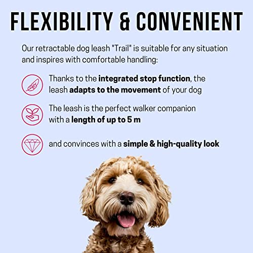 KONG Sentier rétractable Medium noir pour stopper les tractions de chien