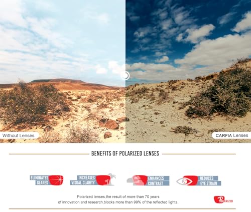 CARFIA Polarized Sunglasses for Men UV Protection, Classic Pilot Style, Acetate Tortoise Arms CA32164