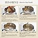 Hokkaido Dashi ー Japanese Soup Stock with Wild Rockfish, Salmon, Kelp (Kombu) & Shiitake Mushroom | Additives, Sustainable Ingredients, Rich Umami | (15 Sachets, 1 Pack)
