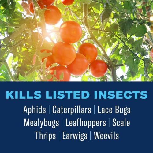 Image of BioAdvanced Organics Brand Tomato, Vegetable & Fruit Insect Control - 24 oz | Ready-to-Use - Kills Listed Insects on Contact - Disease Control - For Edible Gardening