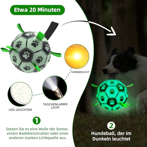 HETOO Hundespielzeug, Hundeball mit Nylon Seil, Premium Hundefußball Spielzeug für Mittlere Große Hunde Indoor & Outdoor Unterhaltung (8 Zoll Glow in Dark)