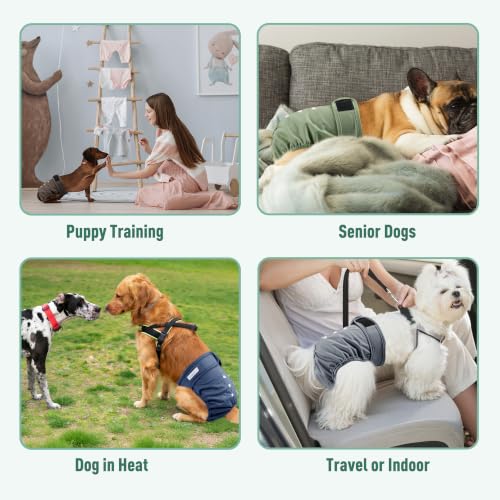 Image of Langsprit Female Dog Diapers for Doggie Puppy,Reusable Dog Period Diapers Female for Heat Peeing,Small Medium Large Doggy Diaper Washable,Dogs Pants 5 Pack, Blue Green Coffee, Medium