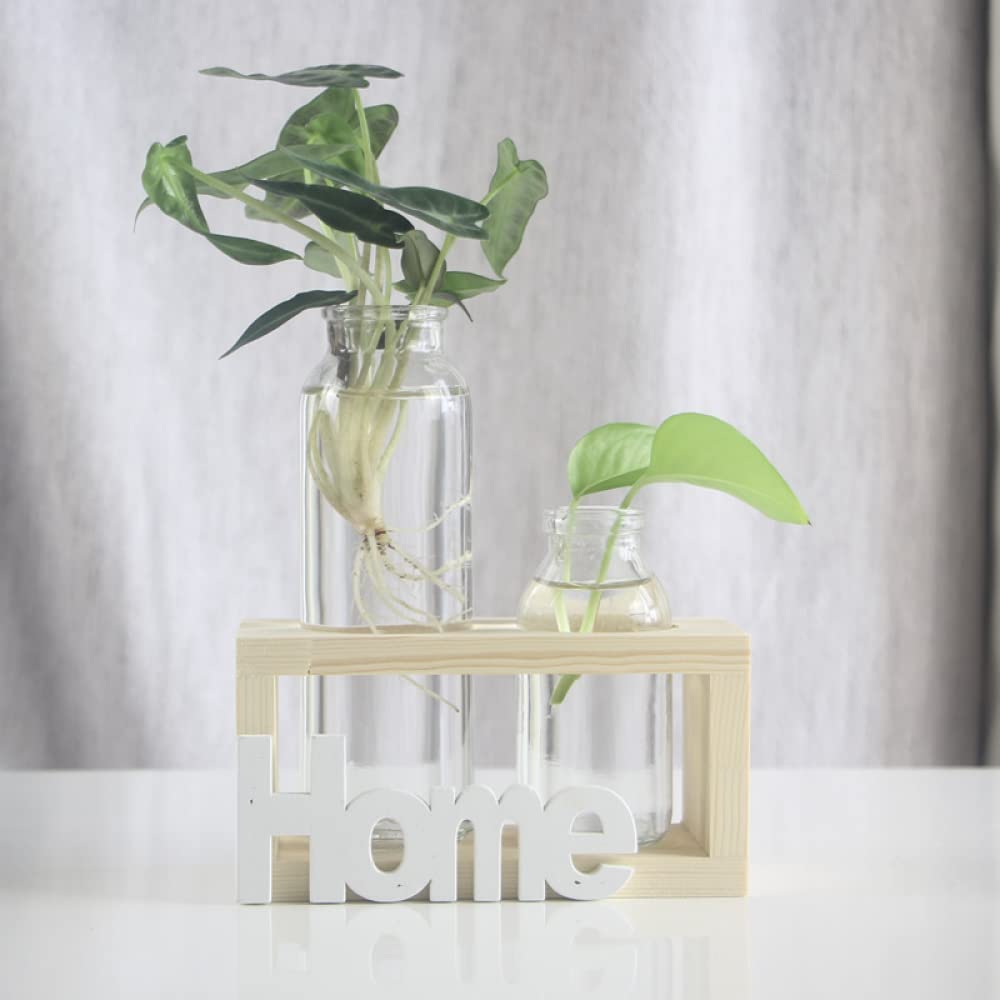 YXSH Station De Propagation des Plantes Vase Bouteille en Verre Plantes Hydroponiques Pot De Terrarium avec Support en Bois pour Mariage Bureau À Domicile Jardin Décoration De Table Vases À Bulbe
