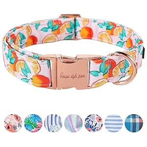 Unique style paws Dog Collar Metal Buckle Orange Collar Gift Durable Cute Collar for Small Medium Large Boys Girls Dogs Unique style paws Dog Collar Metal Buckle Orange Collar Gift Durable Cute Collar for Small Medium Large Boys Girls Dogs