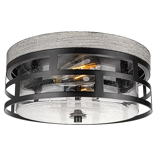 Rosient Flush Mount Ceiling Light Fixture, 12 Inch 2-Light Modern