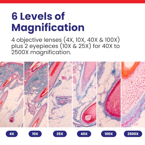 AmScope B120 Series Student & Professional LED Binocular Compound Microscope - 40X-2500X Magnification - Includes 0.3MP USB 2.0 Camera & Siedentopf Head