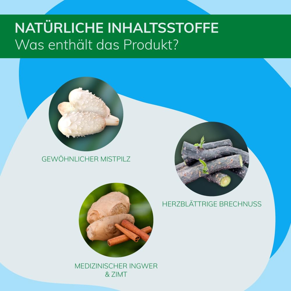 GLUREGUL 60 Kapseln | Natürliche Unterstützung für die Blutzuckerregulierung | Mit Stinktierkohl, Terminalia Arjuna, Medizinischem Ingwer & Zimt | 100% Natürlich, 640mg