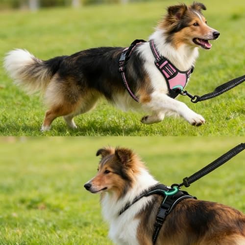Fellstern Anti-Zieh-Geschirr, Atmungsaktiv & Gepolstert Fellstern Geschirr Hund, Anti Zug Hundegeschirr mit Front Clip, Einstellbar Antizuggeschirr für Hunde Jeder Größe (Schwarz,M)