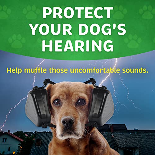 Bocinas, Sports Imagen adicional