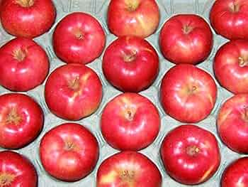 りんご　0507 アグリセレクト 青森県産りんご(箱) 420000 1箱(40玉)約10kg