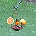 Birds Choice Oriole Bird Feeder | Flower-Shaped Hanging Bird Feeder for Jelly & Orange Halves | Removable Cup & Fruit Pegs with Heart Ornament | Sturdy for Garden & Backyard | 3 oz Capacity, Orange