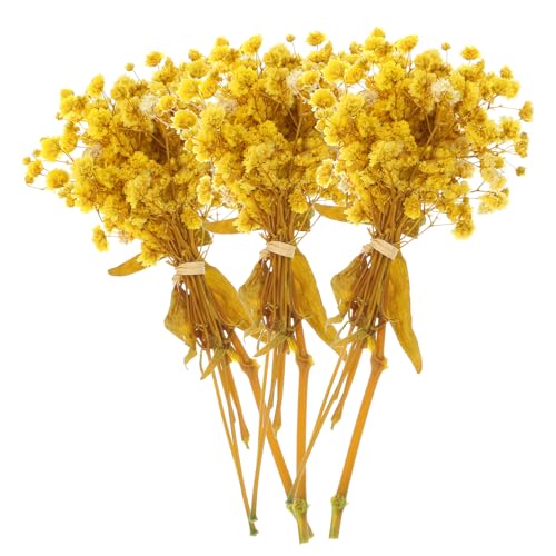 Ramo de flores secas Gypsophila amarillas pequeñas x3 miniatura 1