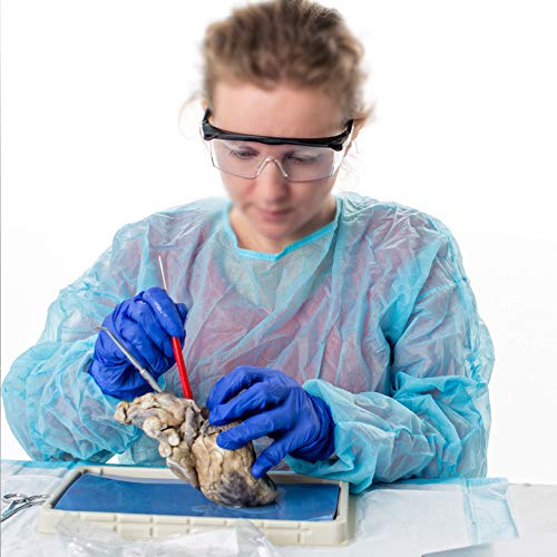 KKmoon Óculos de segurança com braços estendidos Óculos de proteção pessoal para adultos com lentes