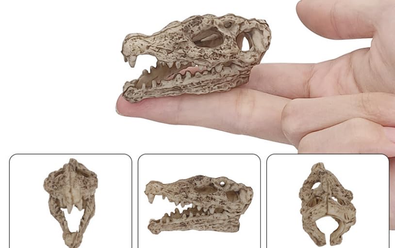 Image of 4pcs Grey Aquarium Decor Realistic Animal Skulls Fish Tank Small Skull | 2inch Resin Skull Figurine Fish Shrimp Shelter Cave Hideout Turtle Hidden Tank Decoration,Mini Micro Landscaping Decor