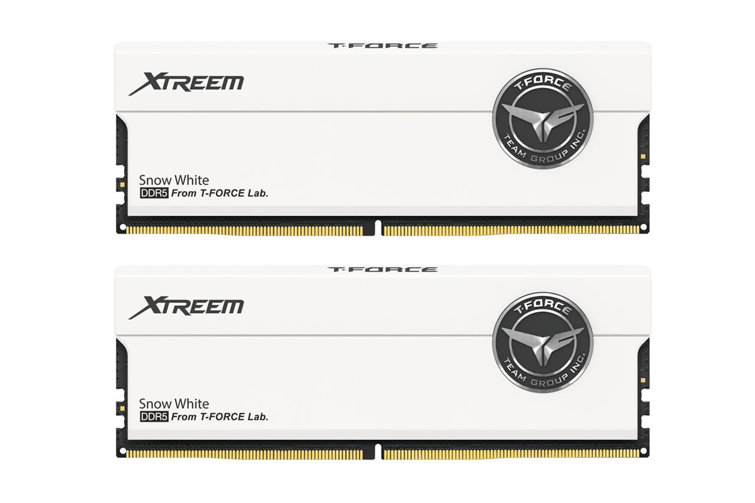 Amazon.co.jp: Team DDR5 6400Mhz (PC5-51200) 16GBx2 (32GBkit