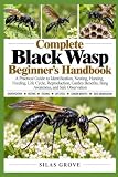 Complete Black Wasp Beginner's Handbook: A Practical Guide to Identification, Nesting, Hunting, Feeding, Life Cycle, Reproduction, Garden Benefits, Sting Awareness, and Safe Observation