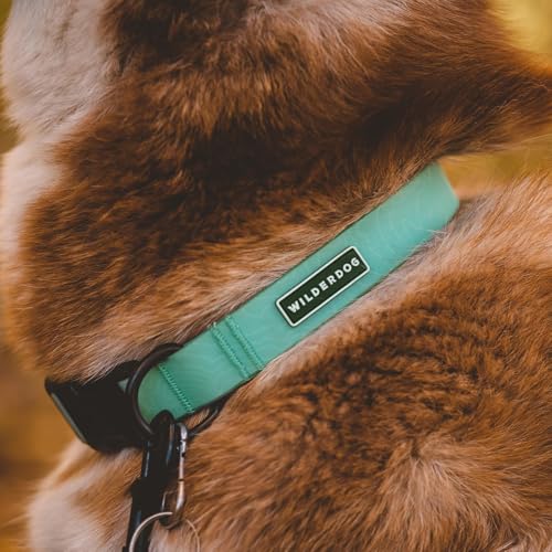 Image of Wilderdog Waterproof Dog Collar - Repels Water & Dirt - Large 17 inch-24 inch - Seafoam